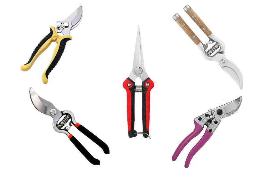 Pruning Shears